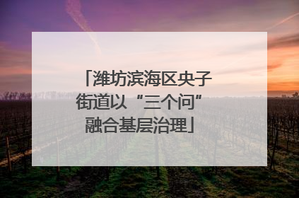 潍坊滨海区央子街道以“三个问”融合基层治理