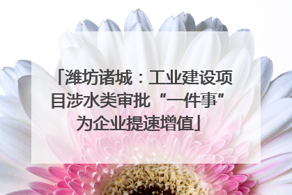 潍坊诸城：工业建设项目涉水类审批“一件事” 为企业提速增值