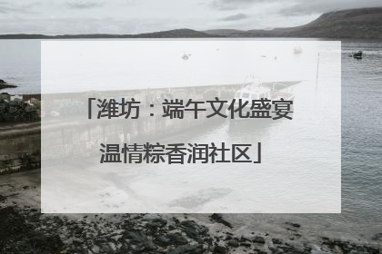 潍坊：端午文化盛宴 温情粽香润社区