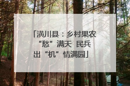 潢川县：乡村果农“愁”满天  民兵出“机”情满园