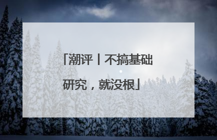 潮评丨不搞基础研究，就没根