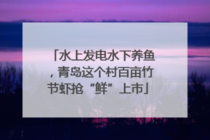 水上发电水下养鱼，青岛这个村百亩竹节虾抢“鲜”上市