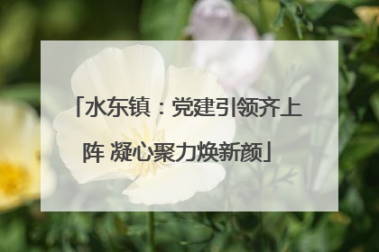 水东镇：党建引领齐上阵 凝心聚力焕新颜