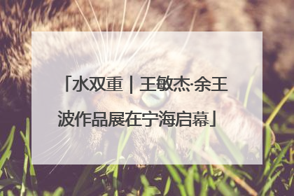 水双重｜王敏杰·余王波作品展在宁海启幕