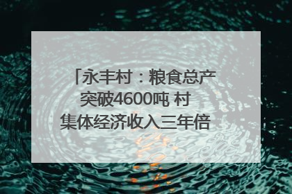 永丰村：粮食总产突破4600吨 村集体经济收入三年倍增｜牵挂的村