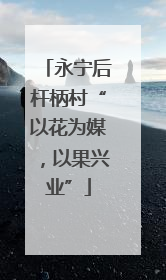 永宁后杆柄村“以花为媒，以果兴业”