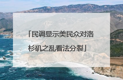民调显示美民众对洛杉矶之乱看法分裂