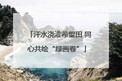 汗水浇灌希望田 同心共绘“绿画卷”