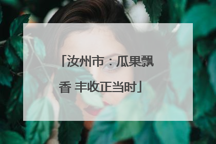 汝州市：瓜果飘香 丰收正当时