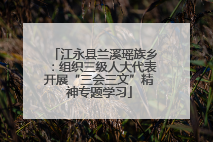 江永县兰溪瑶族乡：组织三级人大代表开展“三会三文”精神专题学习