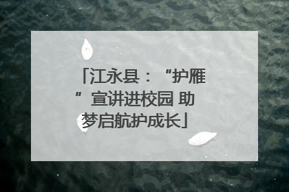 江永县：“护雁”宣讲进校园 助梦启航护成长