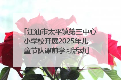 江油市太平镇第三中心小学校开展2025年儿童节队课前学习活动