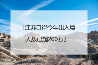 江苏口岸今年出入境人数已超200万
