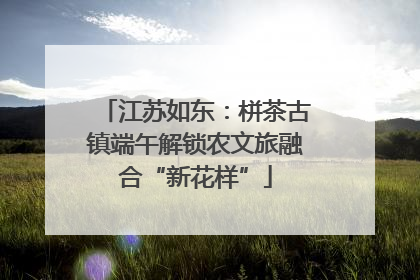 江苏如东：栟茶古镇端午解锁农文旅融合“新花样”