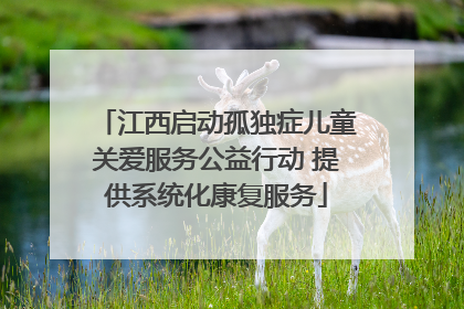 江西启动孤独症儿童关爱服务公益行动 提供系统化康复服务