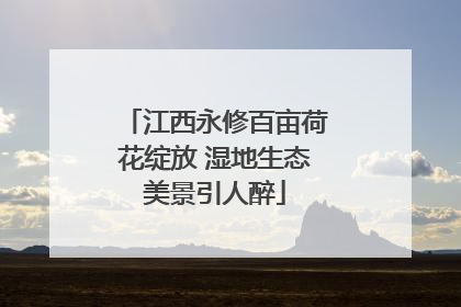 江西永修百亩荷花绽放 湿地生态美景引人醉