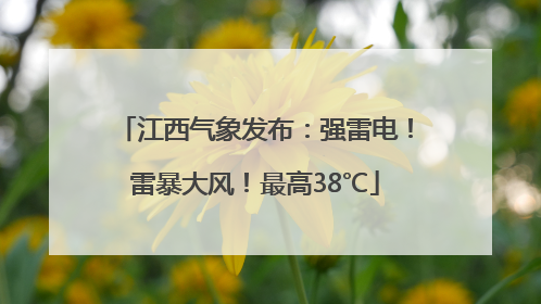江西气象发布：强雷电！雷暴大风！最高38℃