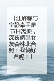汪峰称与宁静牵手是节目需要，深夜晒出女友森林北合照：我俩好着呢！
