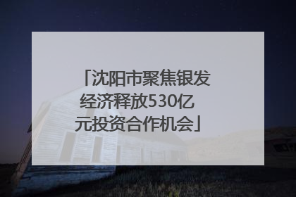 沈阳市聚焦银发经济释放530亿元投资合作机会