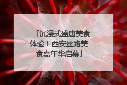 沉浸式盛唐美食体验！西安丝路美食嘉年华启幕