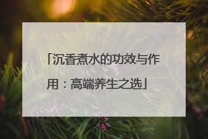 沉香煮水的功效与作用：高端养生之选