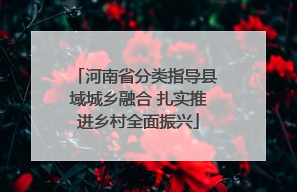 河南省分类指导县域城乡融合 扎实推进乡村全面振兴