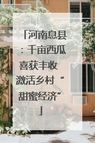 河南息县：千亩西瓜喜获丰收 激活乡村“甜蜜经济”