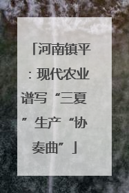 河南镇平：现代农业谱写“三夏”生产“协奏曲”