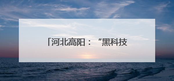 河北高阳：“黑科技”赋能夏种 跑出农业生产“加速度”
