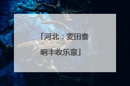 河北：麦田奏响丰收乐章