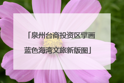泉州台商投资区擘画蓝色海湾文旅新版图