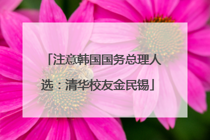 注意韩国国务总理人选：清华校友金民锡
