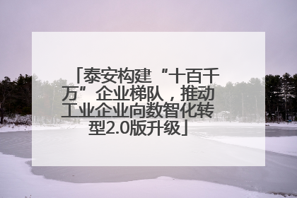 泰安构建“十百千万”企业梯队，推动工业企业向数智化转型2.0版升级