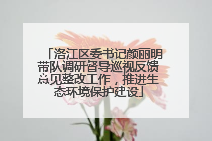 洛江区委书记颜丽明带队调研督导巡视反馈意见整改工作，推进生态环境保护建设