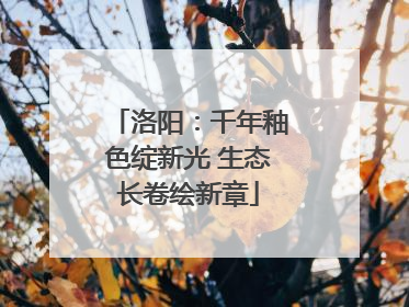 洛阳：千年釉色绽新光 生态长卷绘新章