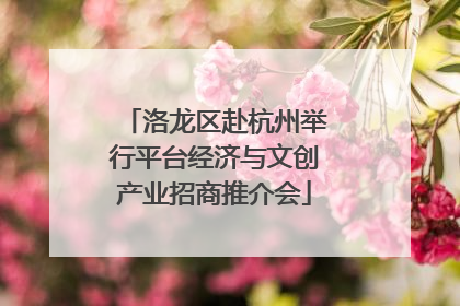 洛龙区赴杭州举行平台经济与文创产业招商推介会