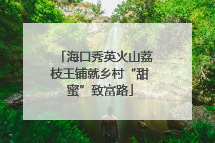 海口秀英火山荔枝王铺就乡村“甜蜜”致富路