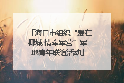 海口市组织“爱在椰城 情牵军营”军地青年联谊活动