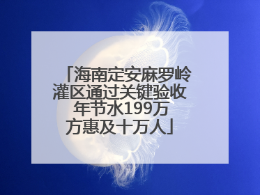 海南定安麻罗岭灌区通过关键验收 年节水199万方惠及十万人