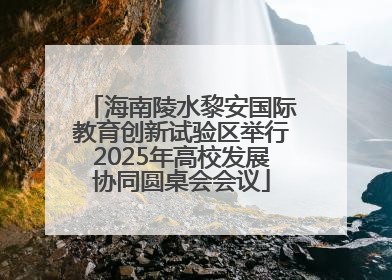 海南陵水黎安国际教育创新试验区举行2025年高校发展协同圆桌会会议