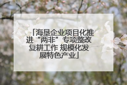 海垦企业项目化推进“两非”专项整改复耕工作 规模化发展特色产业