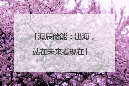 海辰储能：出海，站在未来看现在