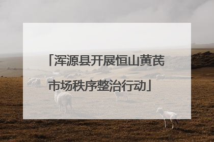 浑源县开展恒山黄芪市场秩序整治行动