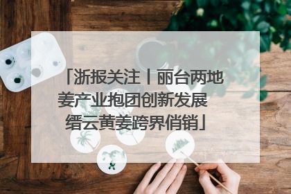 浙报关注丨丽台两地姜产业抱团创新发展 缙云黄姜跨界俏销