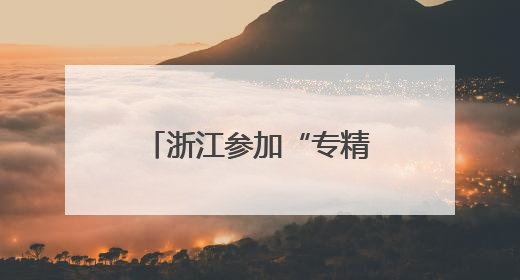 浙江参加“专精特新”的聚会