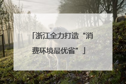 浙江全力打造“消费环境最优省”