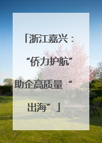 浙江嘉兴：“侨力护航”助企高质量“出海”