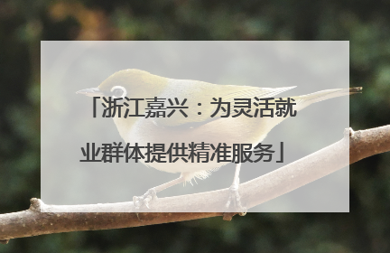 浙江嘉兴：为灵活就业群体提供精准服务