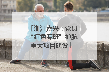 浙江嘉兴：党员“红色专班”护航重大项目建设