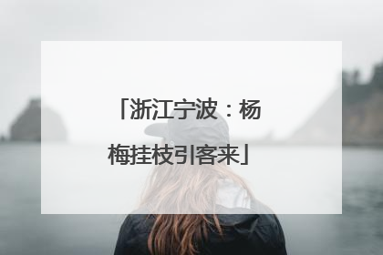 浙江宁波：杨梅挂枝引客来